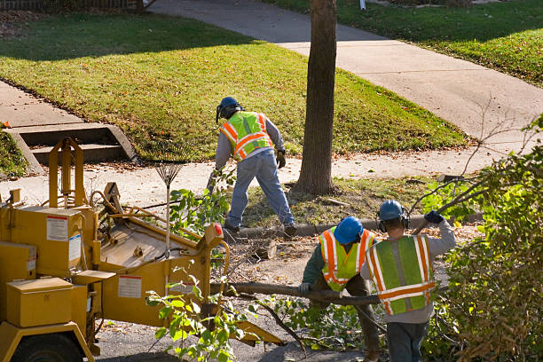 Best Pest Control for Lawns  in Hartford, WI